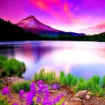 Человек и планета"U Krali Soni"