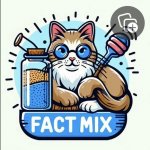 Fact Mix