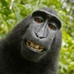 Смех, приколы, юмор