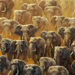 Маркетолог на час