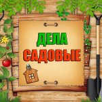 Дела садовые
