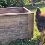 Моспил | Грядки из лиственницы