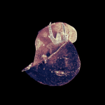 Фотографический Dead