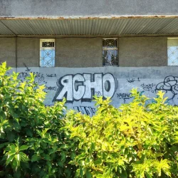 Дорогой дневник