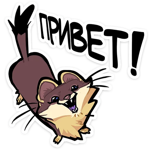 Куница Куна