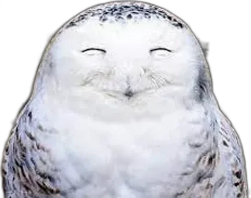 Совиное настроение