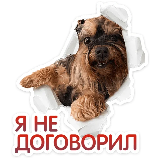 Пёсики