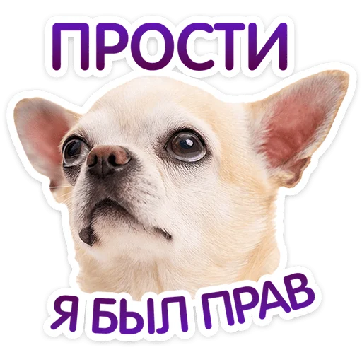 Пёсики