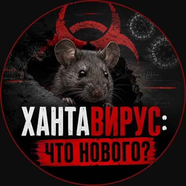 Хантавирус: что нового?