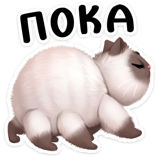 Паушка