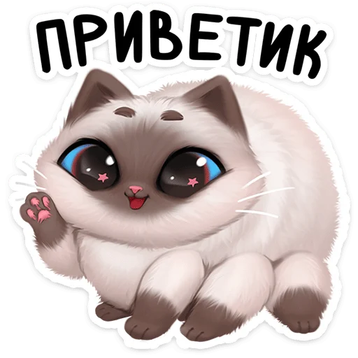 Паушка