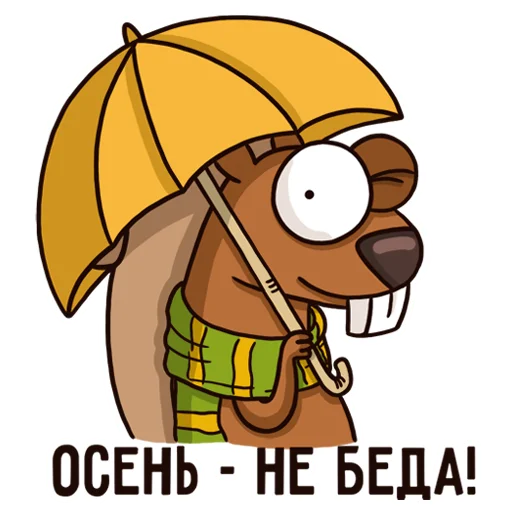 Белочка