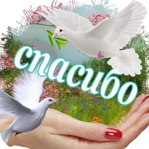 Открытки с поздравлениями
