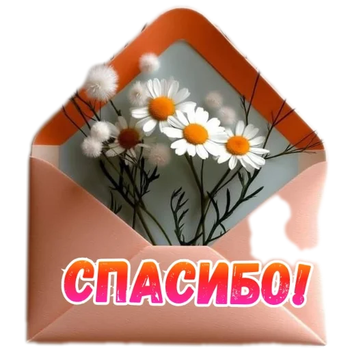 Открытки с поздравлениями