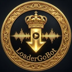 Скачать видео из TikTok YouTube Instagram Facebook | Shazam